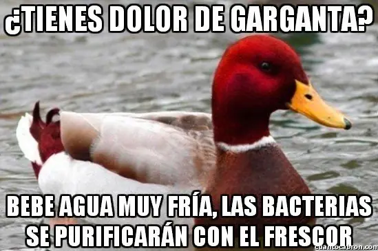 consejero