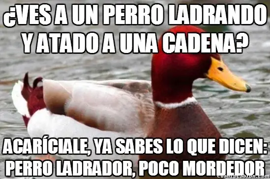 recopilacion