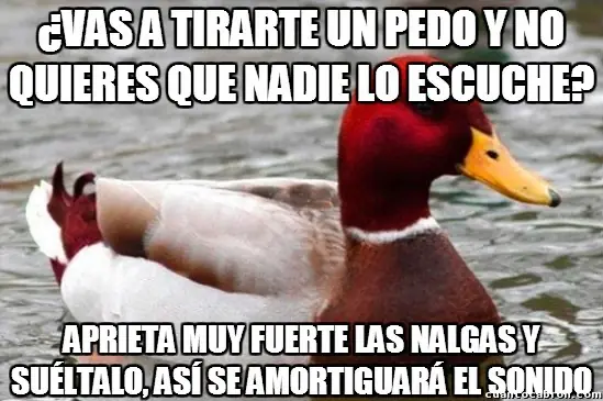 consejero