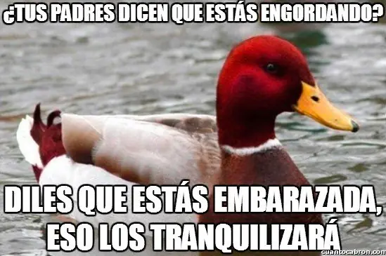 el Pato mal consejero +9 si te reis