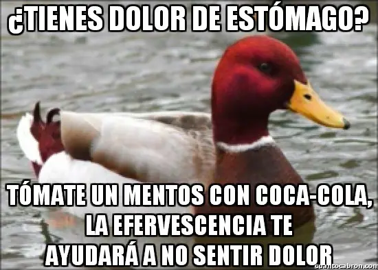 Pato