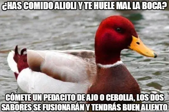 Pato
