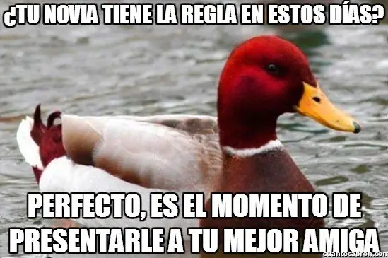 Pato
