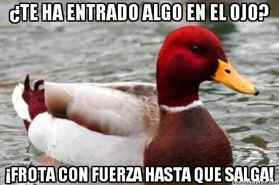 el Pato mal consejero +9 si te reis
