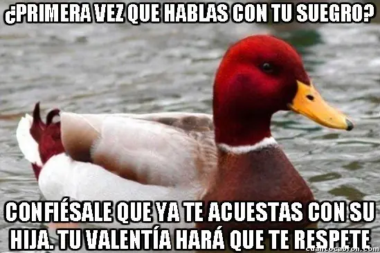 el Pato mal consejero +9 si te reis