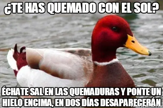 Pato