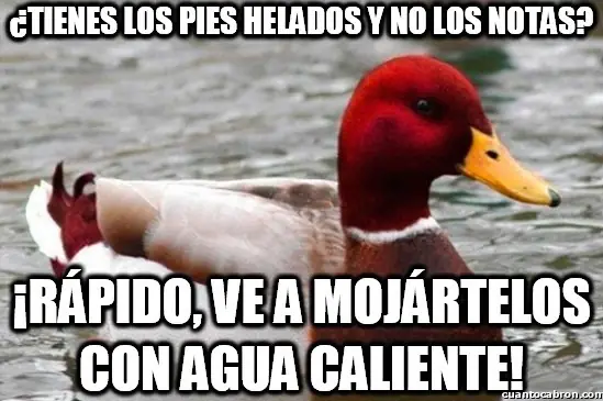 el Pato mal consejero +9 si te reis