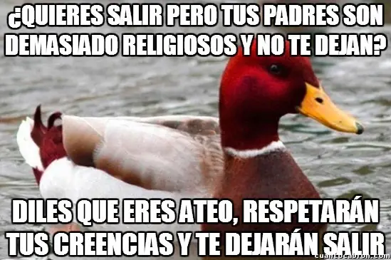 Pato