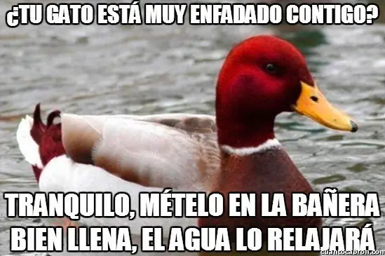 el Pato mal consejero +9 si te reis
