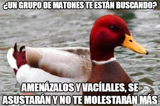el Pato mal consejero +9 si te reis