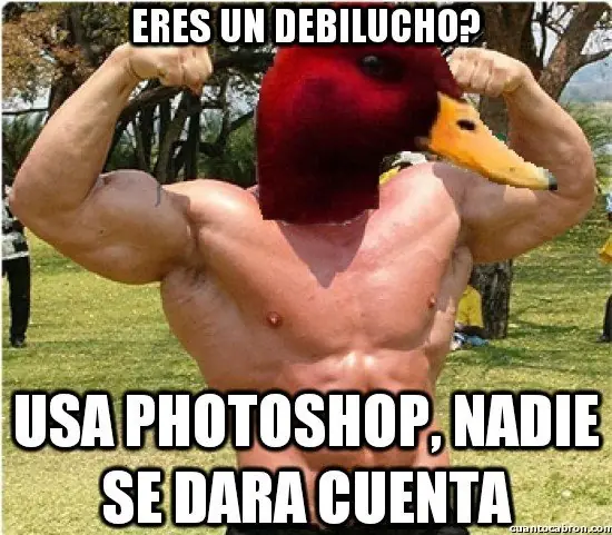 el Pato mal consejero +9 si te reis