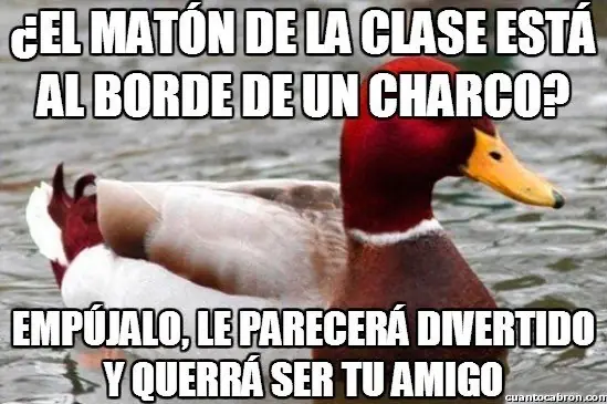 Pato