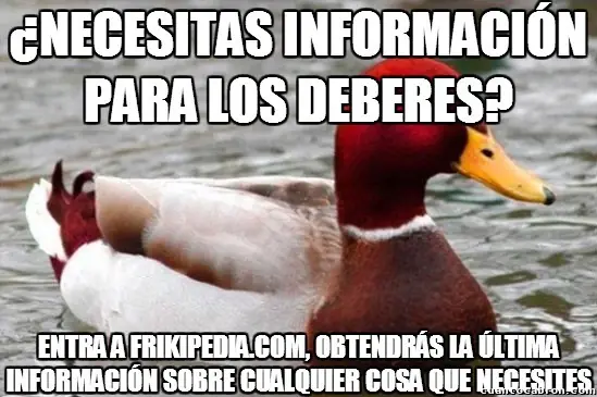 Pato