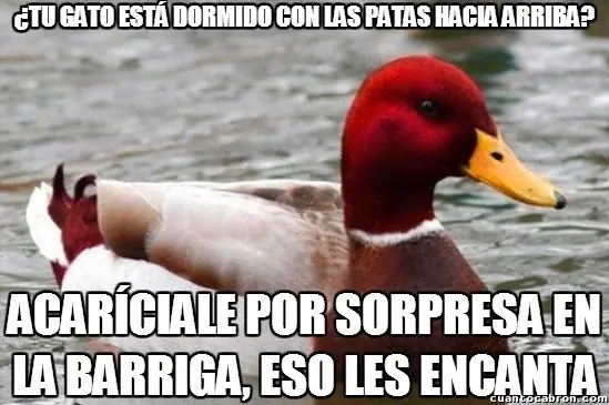 recopilacion
