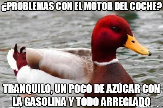 consejero