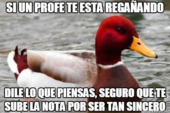 gracioso