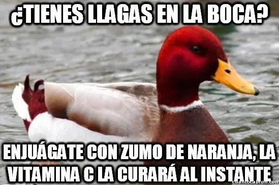 Pato
