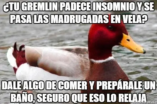 gracioso