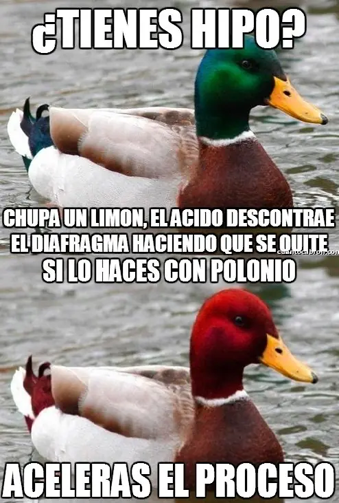 consejero