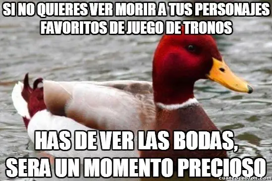 consejero