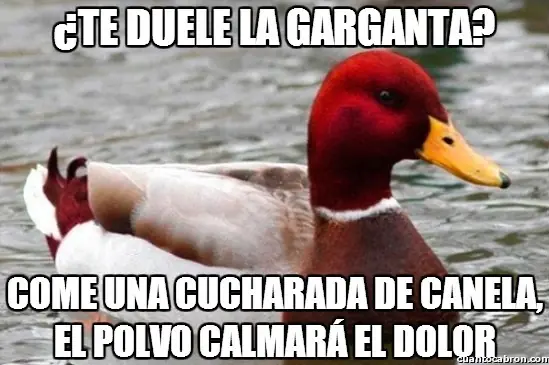 Pato