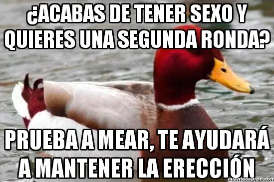 consejero