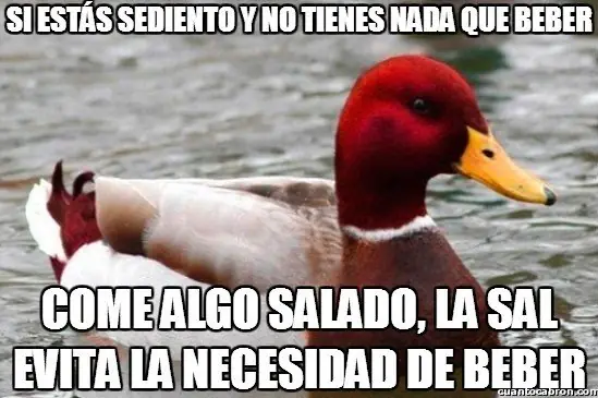 Pato