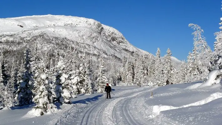 montana