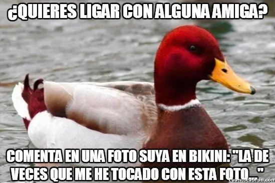 humor