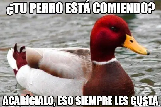 recopilacion