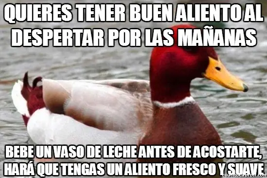 humor