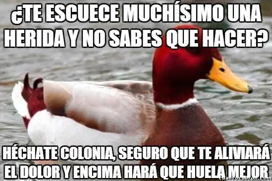 consejero
