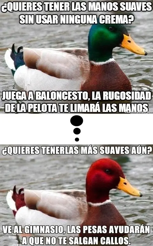 recopilacion