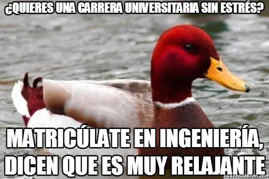 Pato
