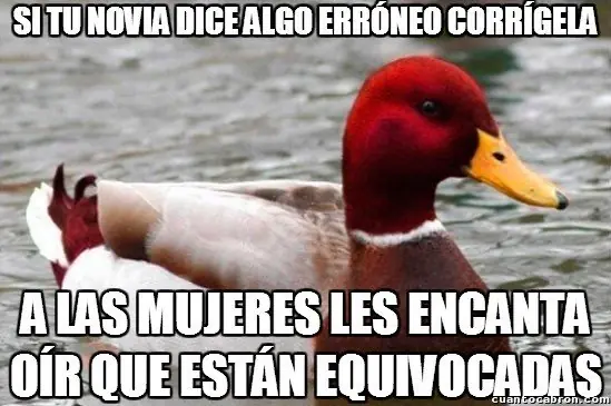 el Pato mal consejero +9 si te reis