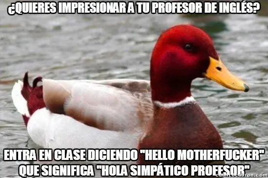Pato