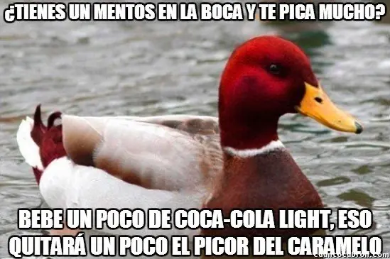 Pato