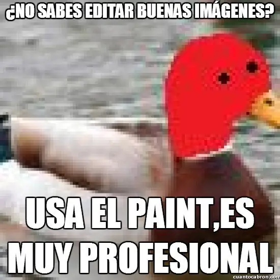 el Pato mal consejero +9 si te reis