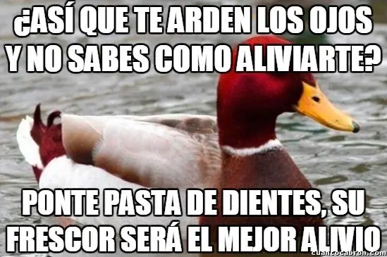 consejero