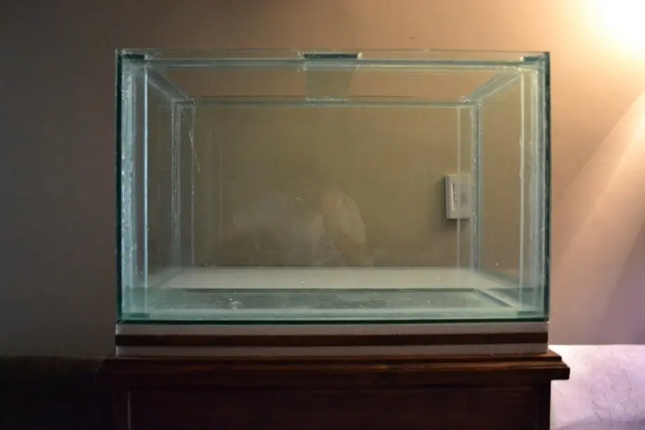 Acuario Acuario