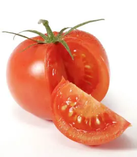 cebolla
