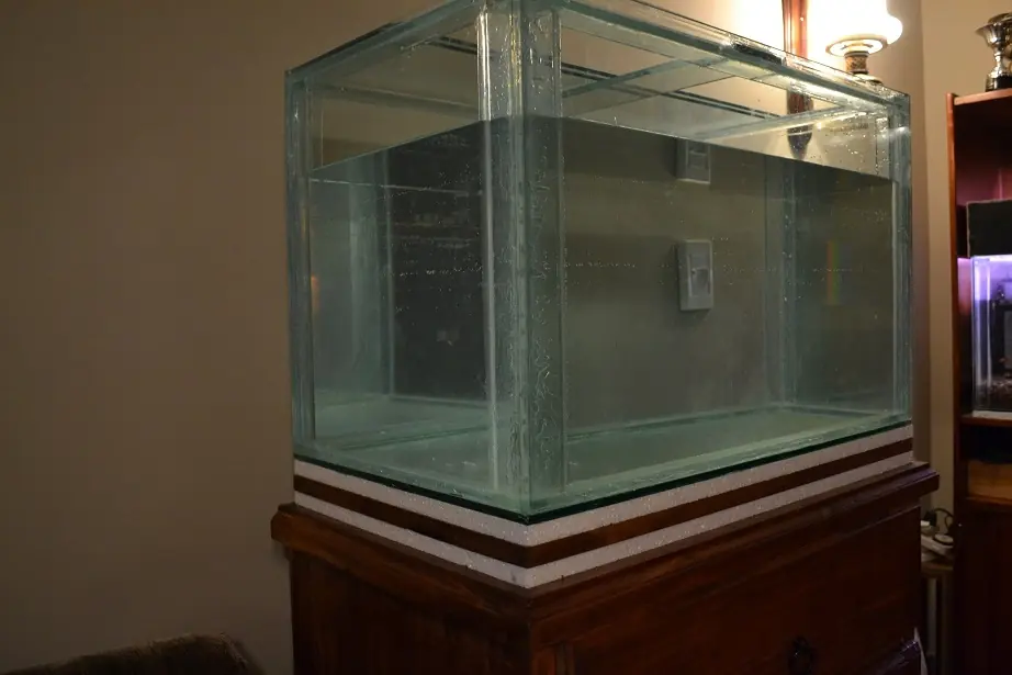 Acuario Acuario