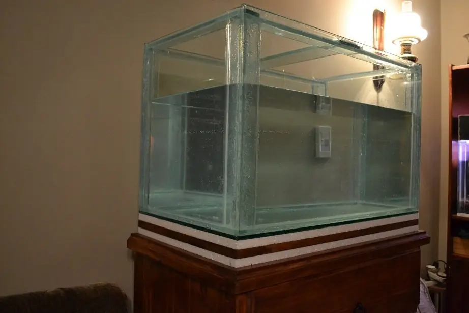peces peces