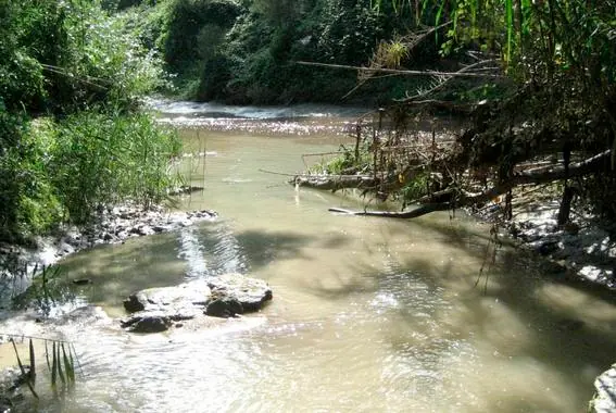 ecologia