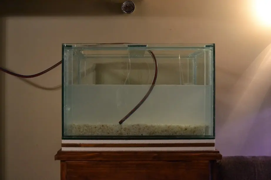 agua