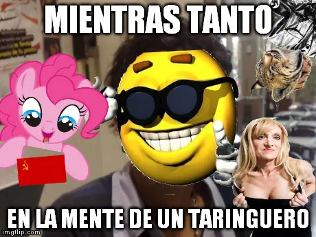 Test Anual para el Taringuero Promedio