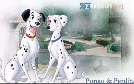 Animales