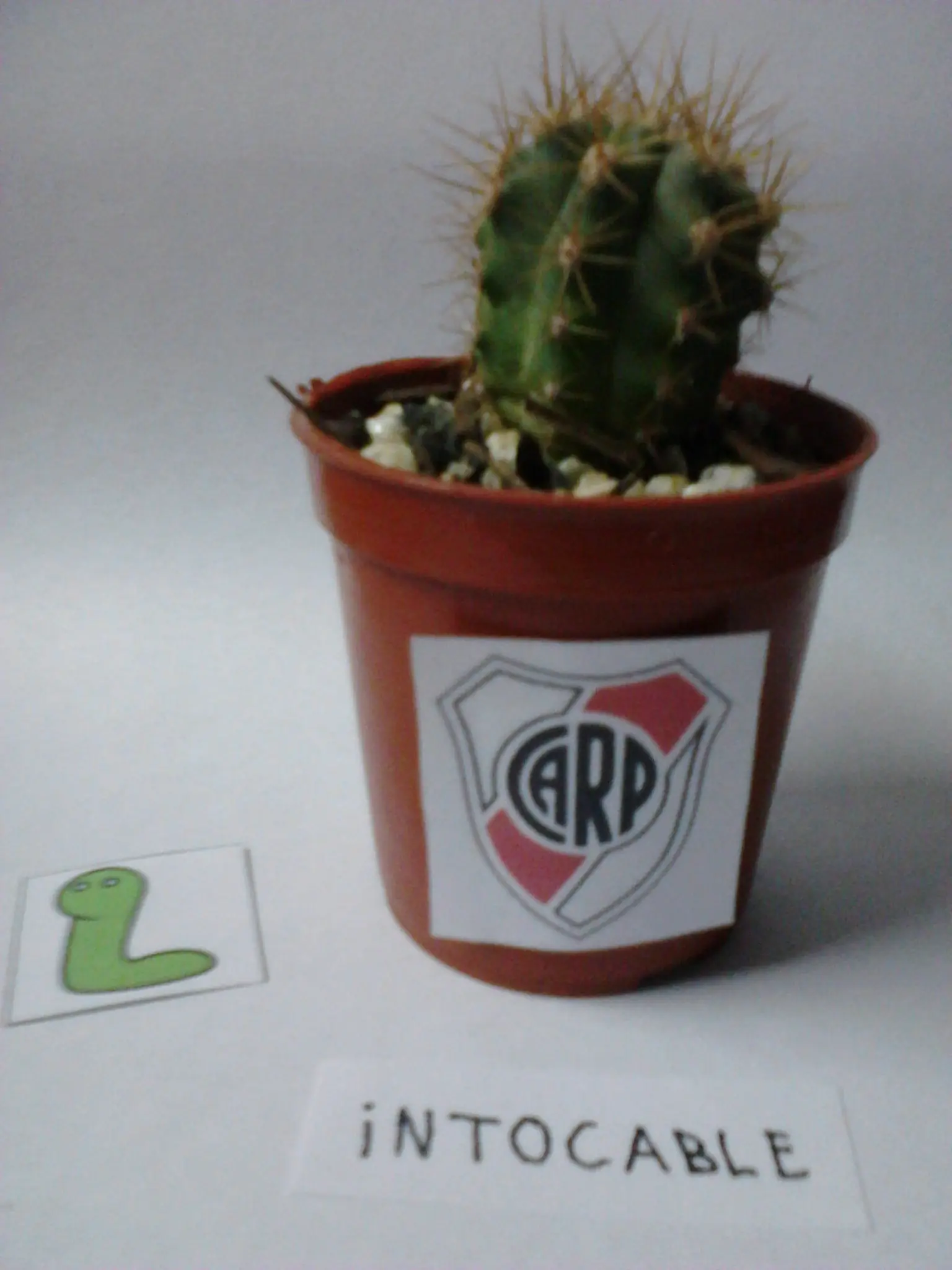 c5n