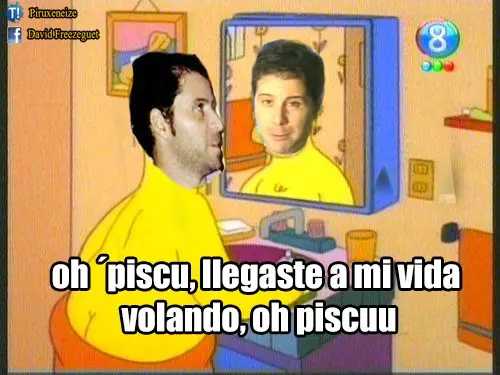 pisculichi