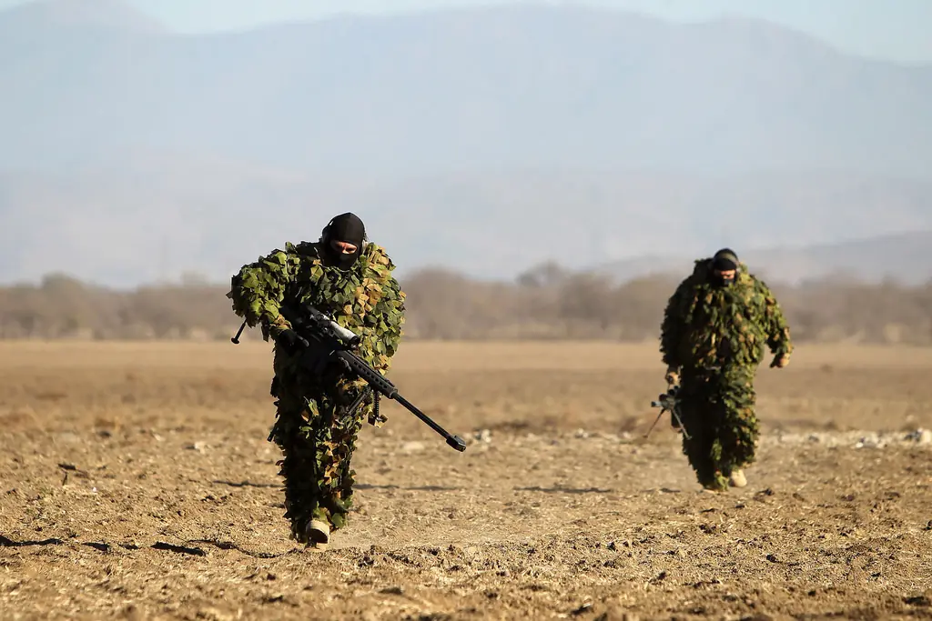 alistamiento militar